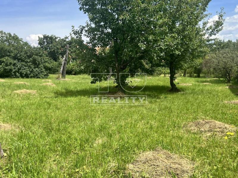 Topoľčianky Land – for living Sale reality Zlaté Moravce