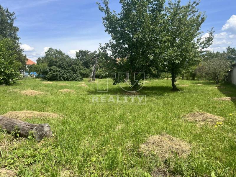 Topoľčianky Land – for living Sale reality Zlaté Moravce