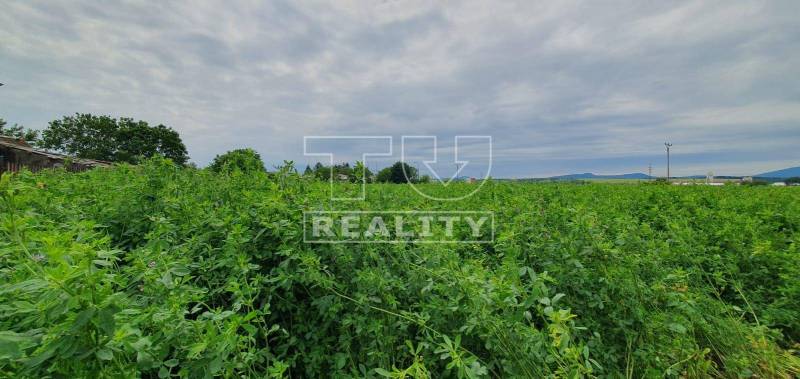 Žitavany Land – for living Sale reality Zlaté Moravce