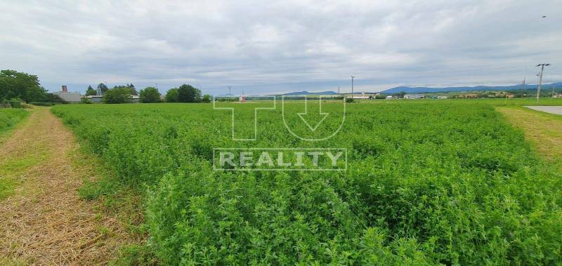 Žitavany Land – for living Sale reality Zlaté Moravce