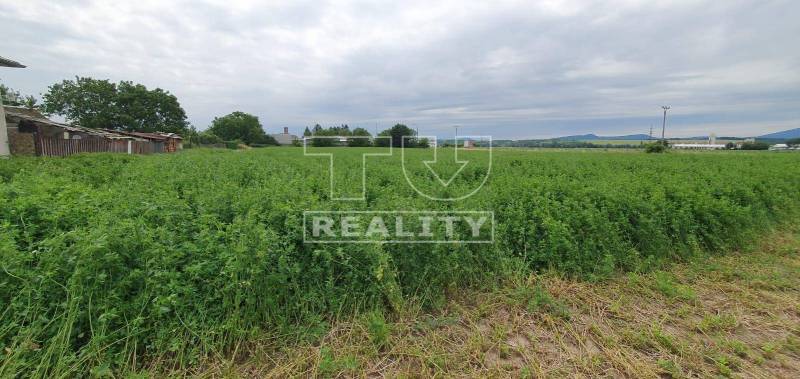 Žitavany Land – for living Sale reality Zlaté Moravce