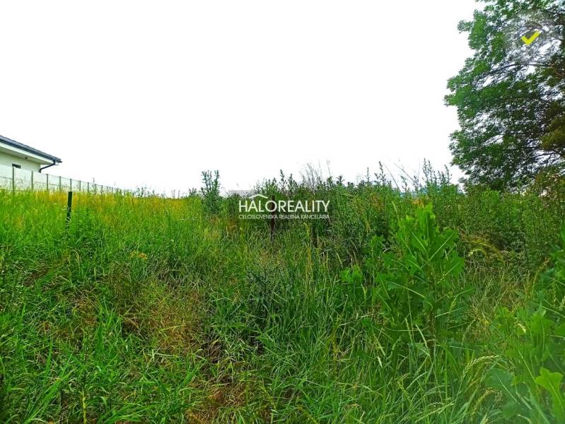 Horná Krupá Land – for living Sale reality Trnava