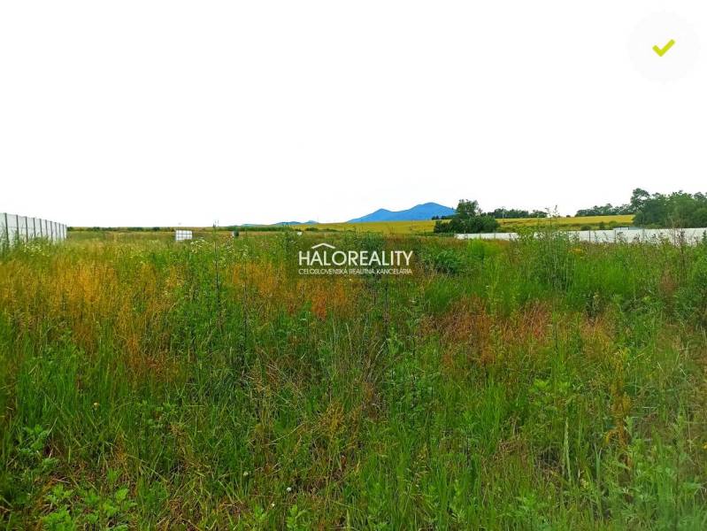 Horná Krupá Land – for living Sale reality Trnava