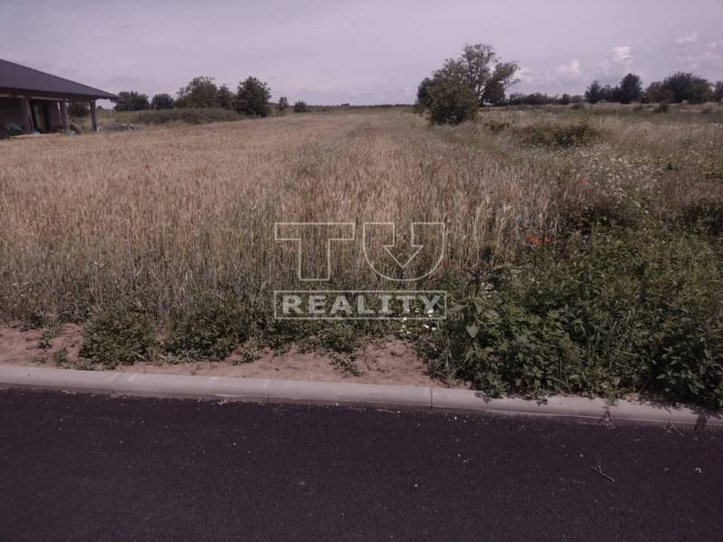 Veľké Kostoľany Land – for living Sale reality Piešťany