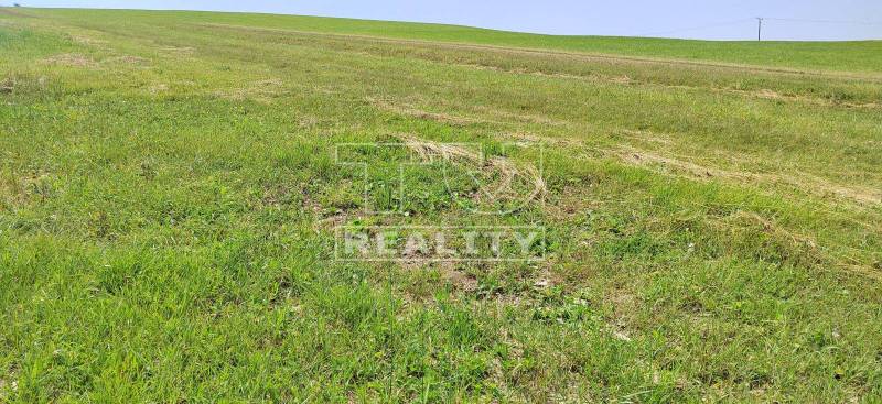 Dohňany Land – for living Sale reality Púchov