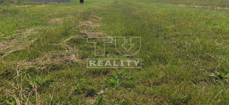 Dohňany Land – for living Sale reality Púchov