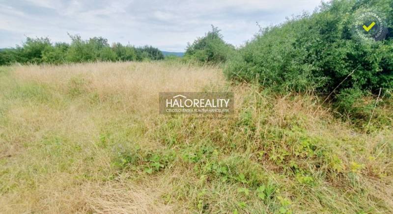 BA - Vajnory Land – for living Sale reality Bratislava - Vajnory