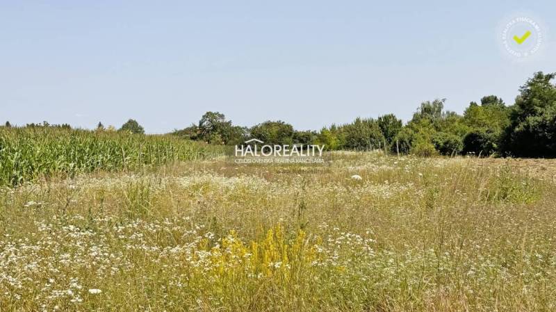 Chotín Land – for living Sale reality Komárno