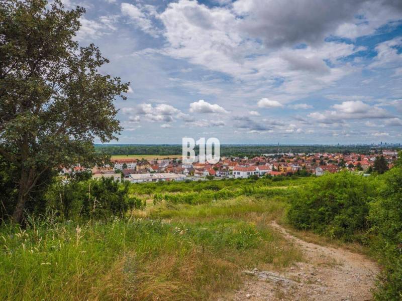 Svätý Jur Recreational land Sale reality Pezinok