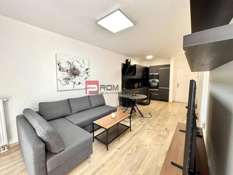 One bedroom apartment Rent reality Bratislava IV