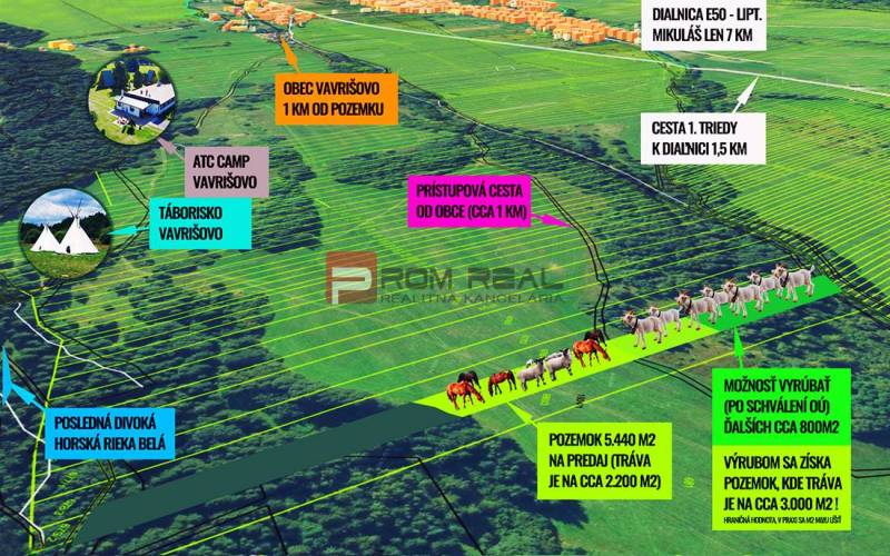 Vavrišovo Agrarian and forest land Sale reality Liptovský Mikuláš