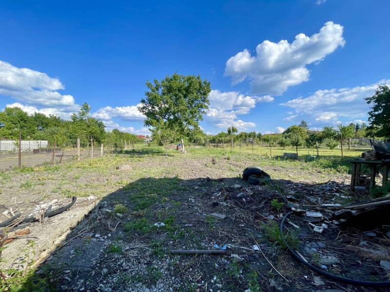 Veľké Dvorníky Land – for living Sale reality Dunajská Streda