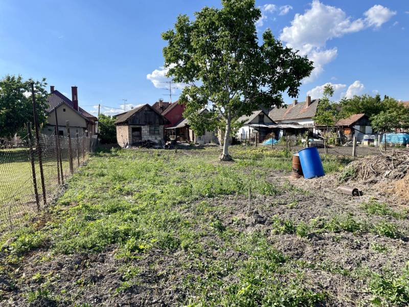 Veľké Dvorníky Land – for living Sale reality Dunajská Streda