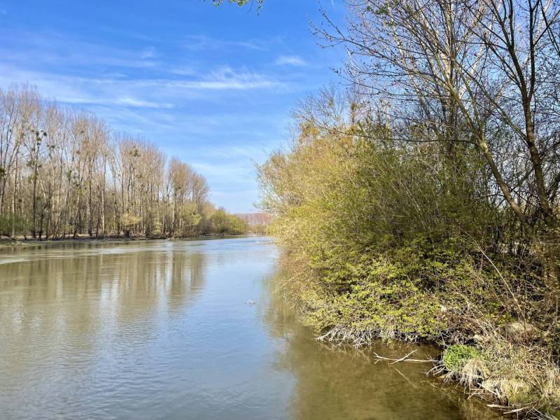 Jahodná Land – for living Sale reality Dunajská Streda