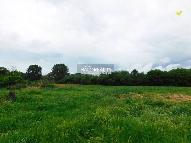 Pataš Land – for living Sale reality Dunajská Streda