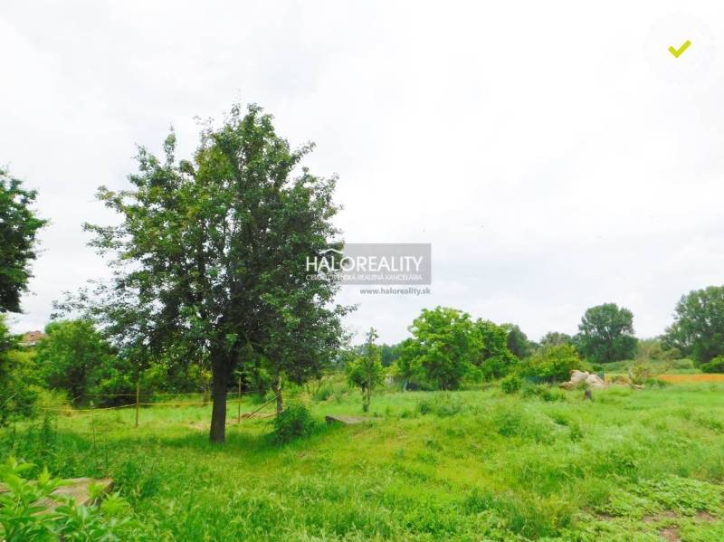 Pataš Land – for living Sale reality Dunajská Streda