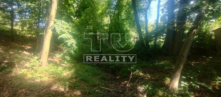 Stará Turá Recreational land Sale reality Nové Mesto nad Váhom