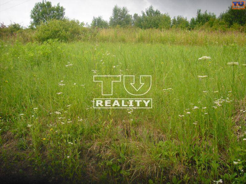 Dulova Ves Land – for living Sale reality Prešov