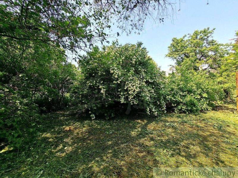 Podhorany Land – for living Sale reality Nitra