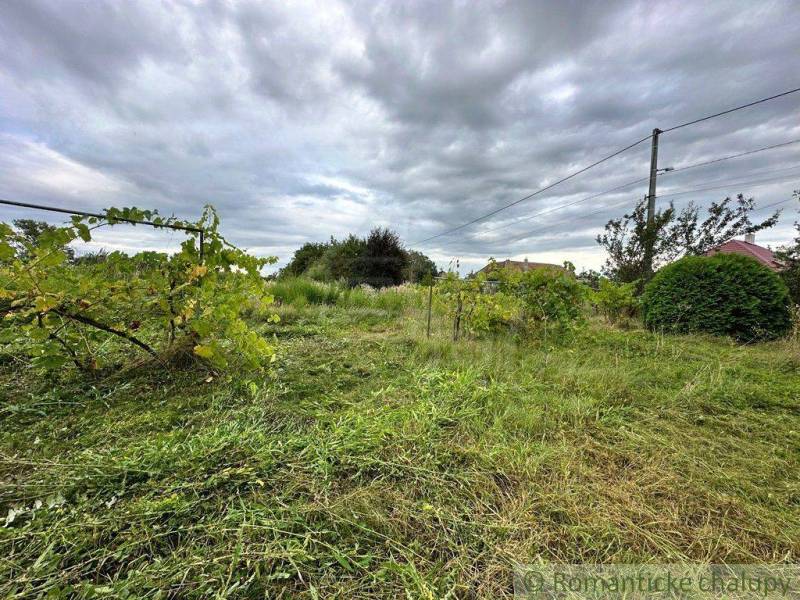 Komárno Land – for living Sale reality Komárno