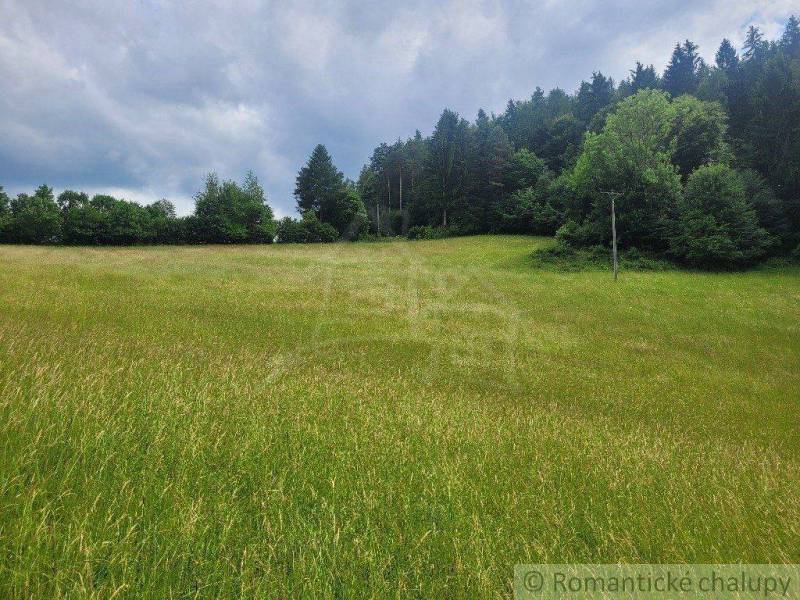 Záriečie Agrarian and forest land Sale reality Púchov