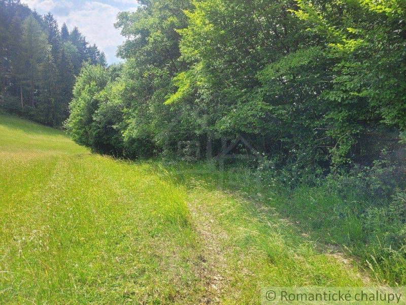 Záriečie Agrarian and forest land Sale reality Púchov