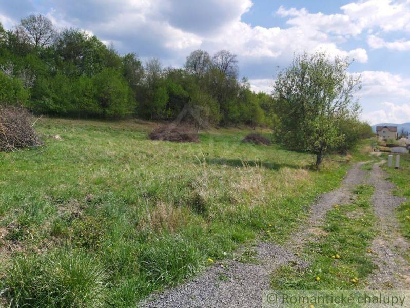 Dolné Kočkovce Agrarian and forest land Sale reality Púchov