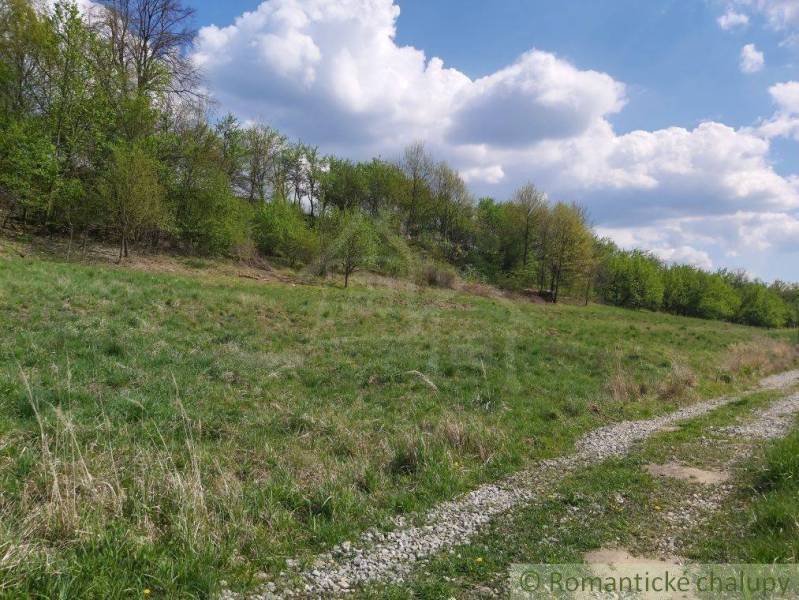 Dolné Kočkovce Agrarian and forest land Sale reality Púchov