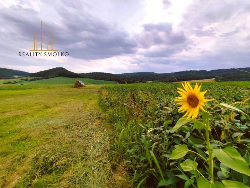 Uzovský Šalgov Agrarian and forest land Sale reality Sabinov