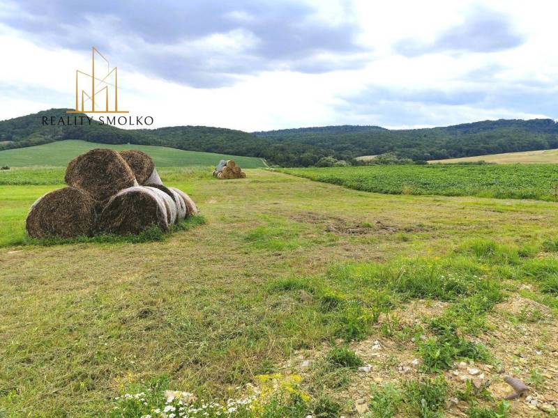 Uzovský Šalgov Agrarian and forest land Sale reality Sabinov