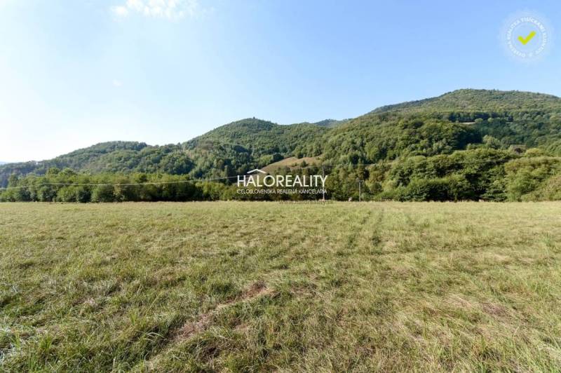 Ostrý Grúň Recreational land Sale reality Žarnovica