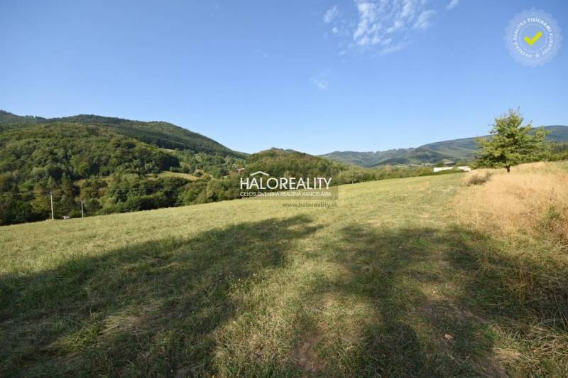 Ostrý Grúň Recreational land Sale reality Žarnovica