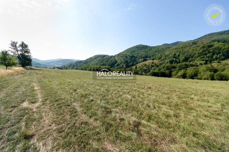 Ostrý Grúň Recreational land Sale reality Žarnovica