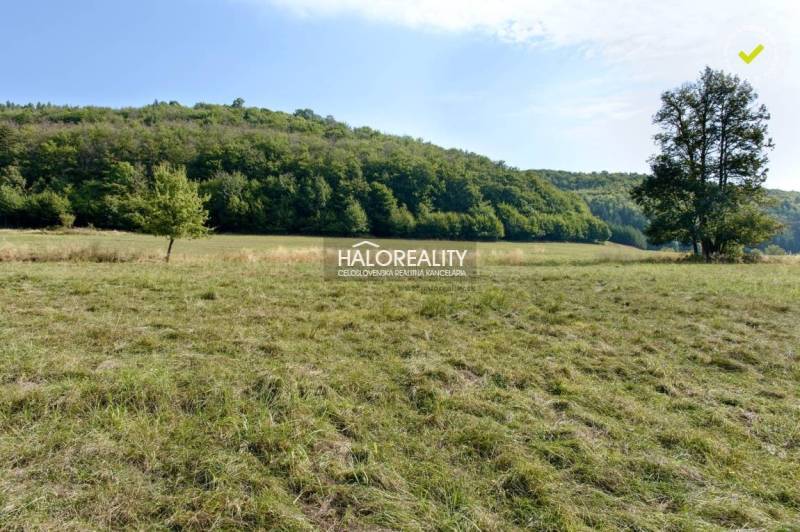 Ostrý Grúň Recreational land Sale reality Žarnovica