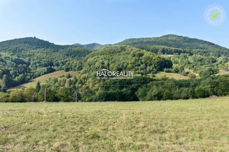 Ostrý Grúň Recreational land Sale reality Žarnovica