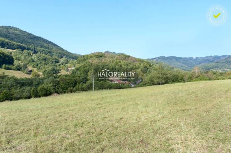 Ostrý Grúň Recreational land Sale reality Žarnovica