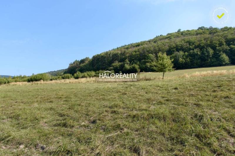 Ostrý Grúň Recreational land Sale reality Žarnovica