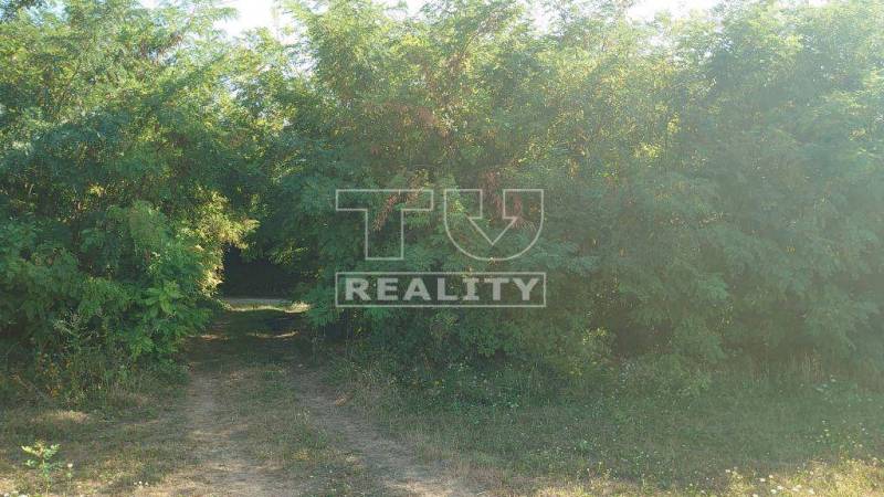 Štvrtok Recreational land Sale reality Trenčín