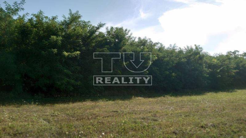 Štvrtok Recreational land Sale reality Trenčín