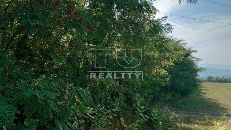 Štvrtok Recreational land Sale reality Trenčín