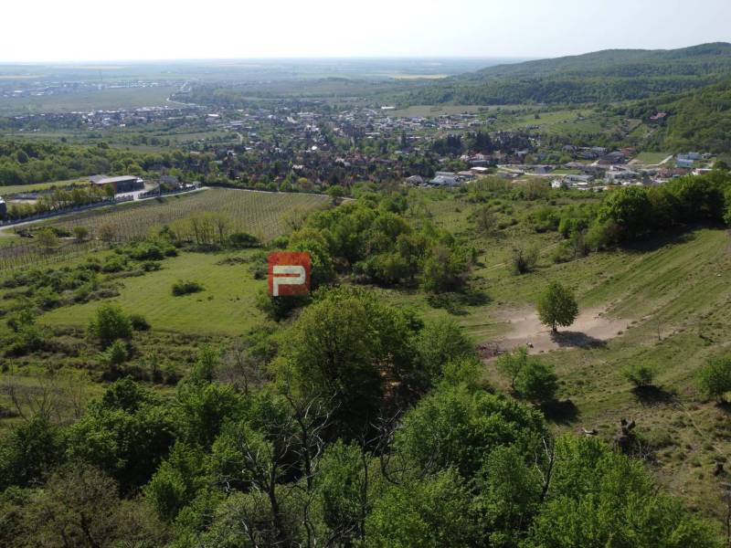 Limbach Land – for living Sale reality Pezinok