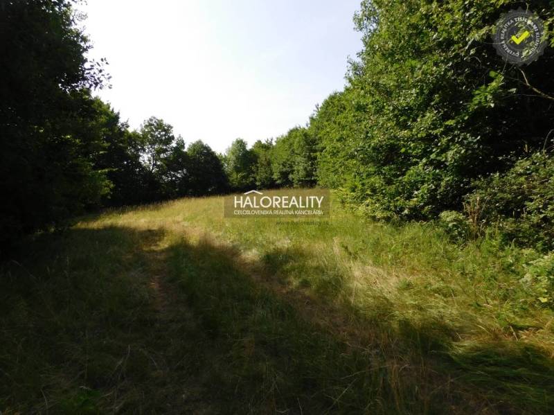 Banská Štiavnica Land – for living Sale reality Banská Štiavnica