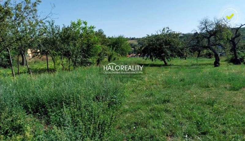 Horné Trhovište Land – for living Sale reality Hlohovec