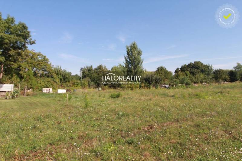 Horné Saliby Land – for living Sale reality Galanta