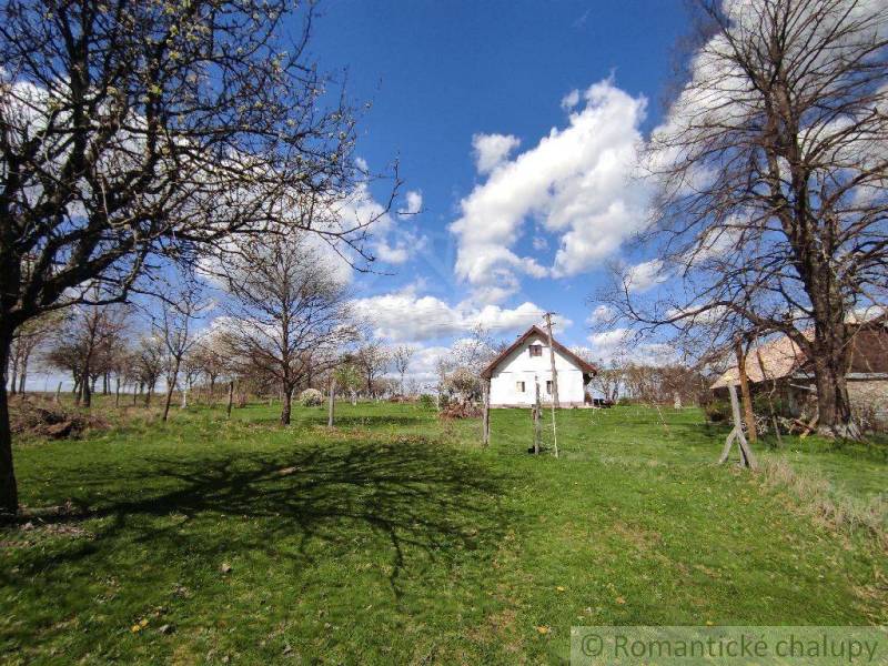 Dolný Badín Family house Sale reality Krupina