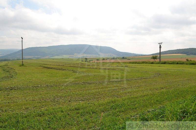 Bardejov Agrarian and forest land Sale reality Bardejov