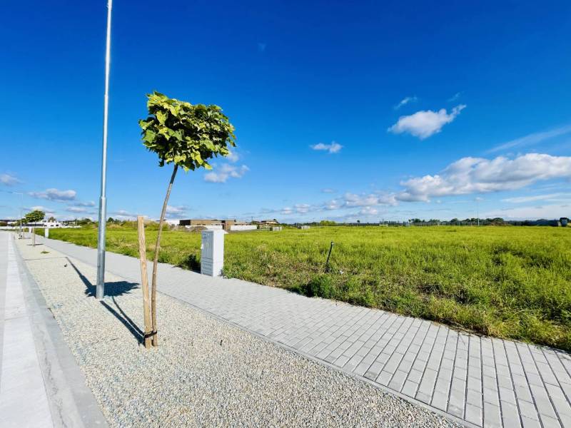 Dunajská Streda Land – for living Sale reality Dunajská Streda