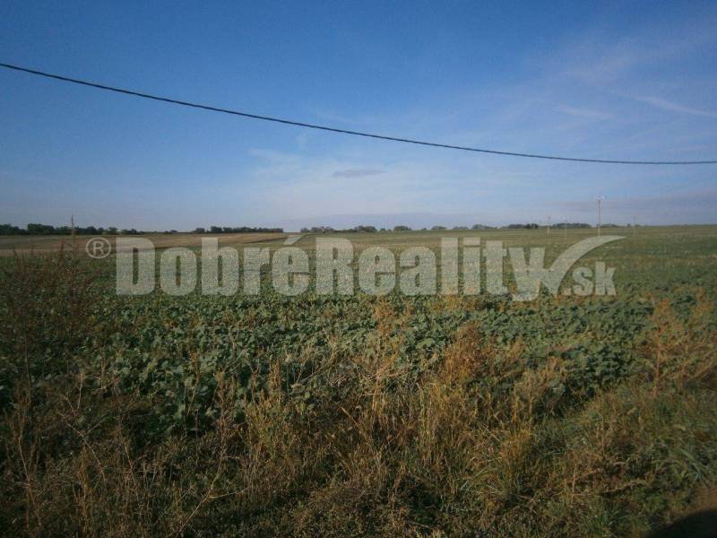 Rumanová Land – for living Sale reality Nitra