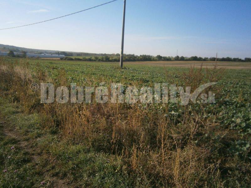 Rumanová Land – for living Sale reality Nitra