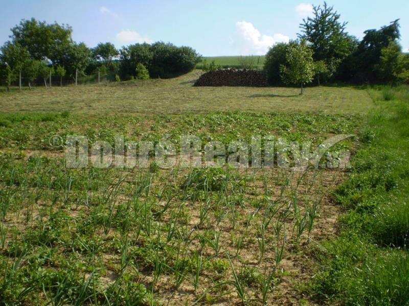 Pastuchov Land – for living Sale reality Hlohovec